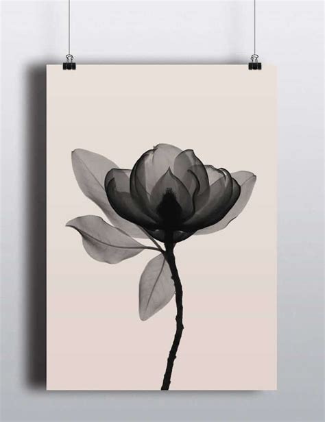 Einzigartige hintergrundbilder für ihren desktop, das tablet oder smartphone. Blumen X Ray - My Flowers