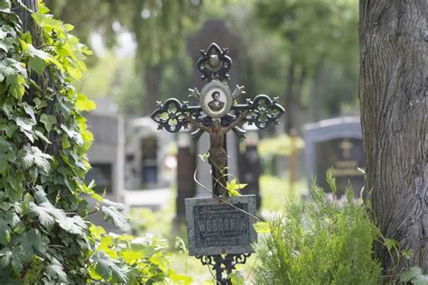 Vienna Vienna Central Cemetery Guided Walking Tour Getyourguide