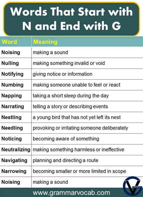 Words That Start With N And Ends With G Grammarvocab