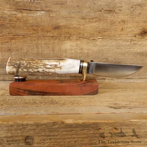 Custom Elk Skinner Hunting Knife For Sale 19184 The Taxidermy Store