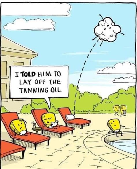 Pin By Lynda Piemen On Live Laugh Love Summer Jokes Cartoon Jokes Summer Humor