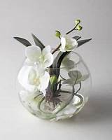 Orchid Flower Arrangement Ideas Photos