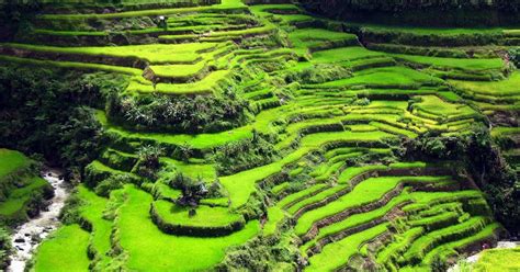Ozzies In Asia Banaue Rice Terraces The 8th Wonder Of The World