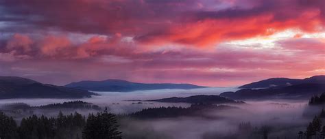 Hd Wallpaper Foggy Mountains Beside Body Of Water During Sunset Bird