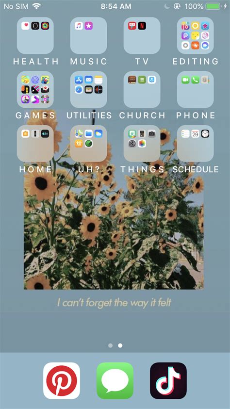Home Screen Layout Iphone Clean Home Screen Layout Iphone Iphone