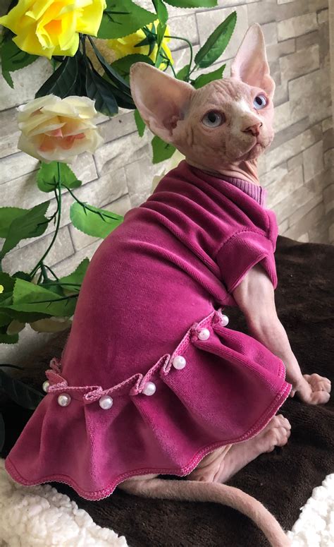 Dress For Sphynx Kittensclothes For Catoutfit For Kitten Etsy