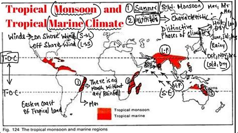 Tropical Monsoon And Tropical Marine Climate Gc Leong Youtube