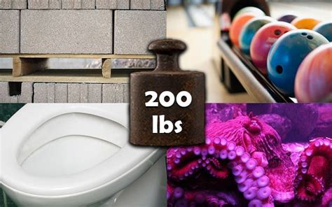 11 Things That Weigh Around 200 Pounds Lbs Weight Of Stuff