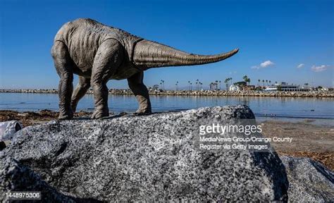 A Headless Dinosaur Toy Sits On The Rock Jetty Along The Bank Of The News Photo Getty Images