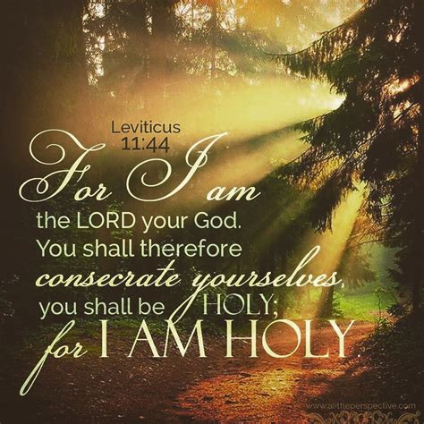 Be Holy For God Is Holy This Holiness Should Effect Our Everyday Life