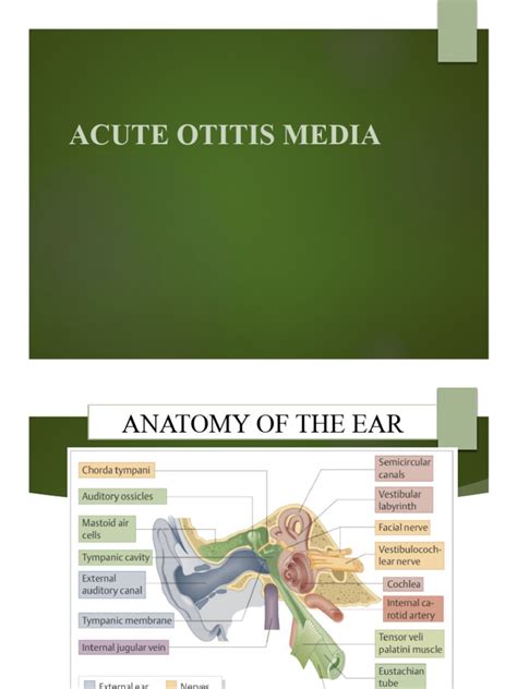 Acute Otitis Media Pdf