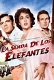 La senda de los elefantes (1954) Película - PLAY Cine