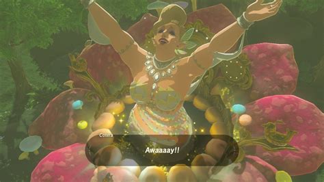 Zelda Breath Of The Wild Fairy Fountain