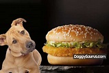 Can Dogs Eat McDonalds? (Dog Friendly McDonald’s Food List)