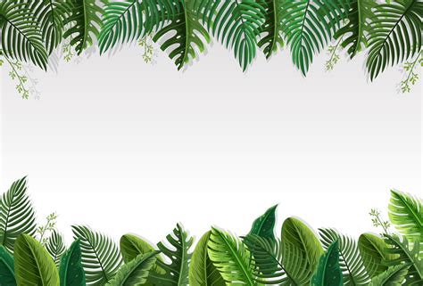 Check spelling or type a new query. Palm Leaf Border Free Vector Art - (130 Free Downloads)