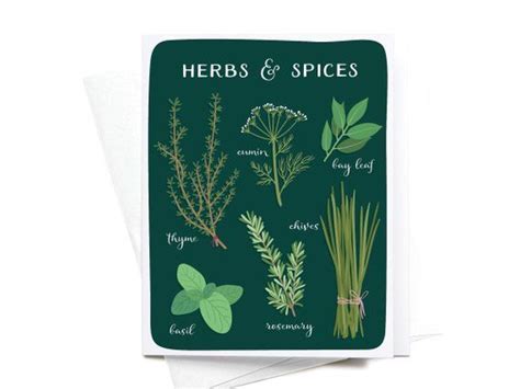 Cute Greeting Card Herbs & Spices Thyme Cumin Bay Leaf | Etsy | Herbs & spices, Greeting card ...