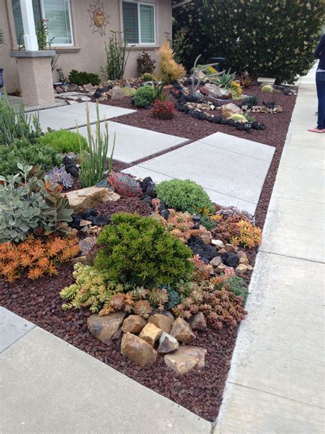 Attractive Water Wise Front Lawn With Drought Tolerant Plants Rocks Landscaping With Rocks