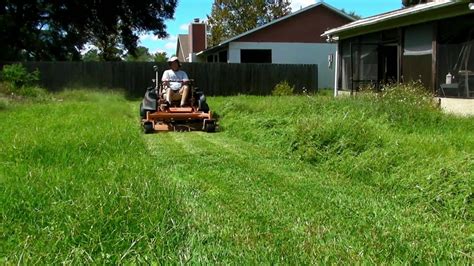 Mowing Tall Thick Grass 31 Satisfying Youtube
