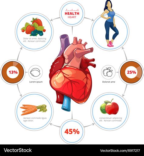 Heart Medical Infographics Royalty Free Vector Image