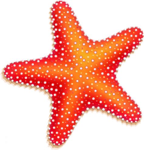 Starfish Clipart Seashell And Other Clipart Images On Cliparts Pub