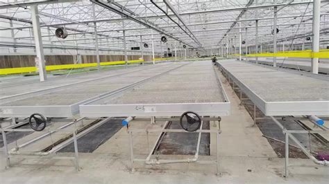 Hydroponic Greenhouse Rolling Bench Agriculture Growing Ebb And Low
