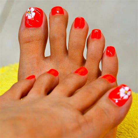 These Are A Beautiful Red Color With A White Beautiful Flower Summer