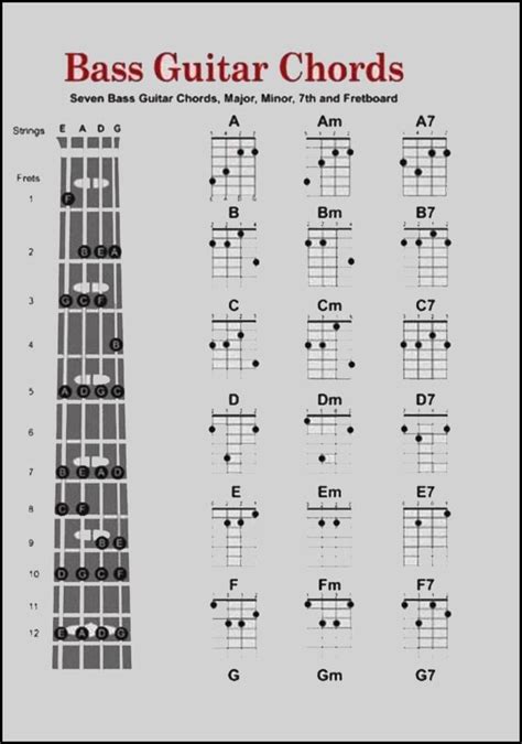 Basic Bass Guitar Chords For Android Apk Download