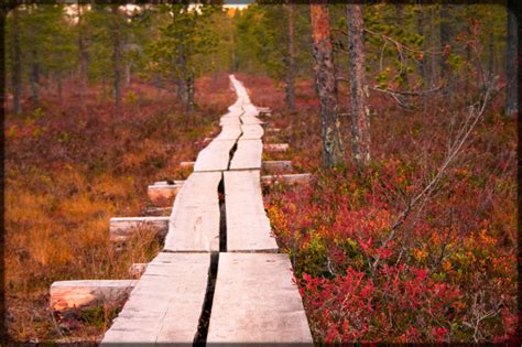 Ruska Relief 35 Stunning Photos Of Finlands Autumn Colors