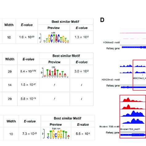 meme chip analysis of h3k4me3 h3k27me3 and bivalent domains motif in download scientific