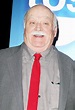 Picture of Brian Doyle-Murray