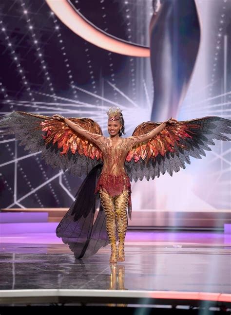 Miss Universe The Wildest National Costumes From The Pageant