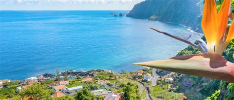 Madeira Die Besten Tipps Für Deinen Urlaub Ltur Reiseblog