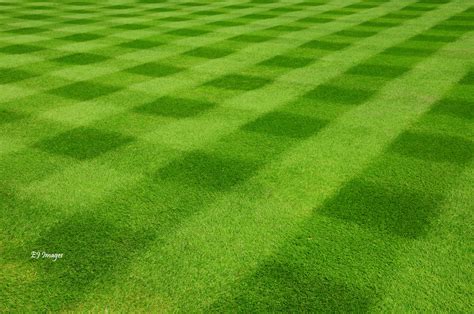 Different Lawn Mowing Patterns Part I Lawn Care Tips Mower Sourcelawn Care Tips Mower Source