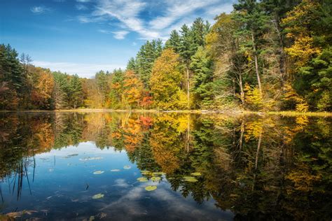 Wallpaper Id 1083565 Forest 1080p Norfolk Reflection Trees
