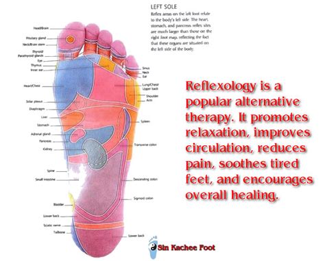 Sin Kachee Foot How Does Reflexology Work