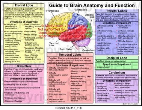 Top 10 Brain Lobes And Functions Ideas And Inspiration
