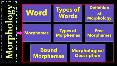 Understanding English Morphology Words Free And Bound Morphemes