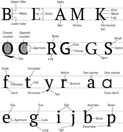 Roman Typeface Terminology Download Scientific Diagram
