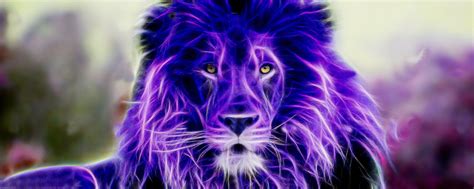 Lion Colorful Fractalius Wallpapers Hd Desktop And Mobile Backgrounds 8b7