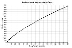 The feline calorie calculator uses a basic formula to determine the resting energy requirements (rer) of felines. Basic Calorie Calculator | Veterinary Medical Center