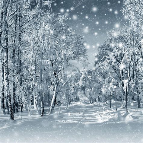 Winter Scenery Snowstorm — Stock Photo © Elenstudio 36419747