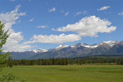 Free Images Landscape Tree Nature Grass Horizon Wilderness