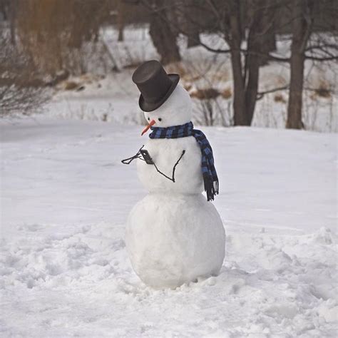 35 Real Snowman Ideas For Creative And Awesome Christmas Time
