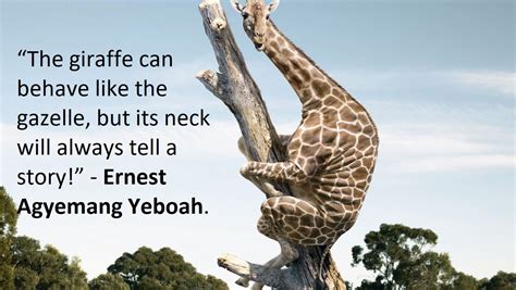 35 Funny Giraffe Quotes And Sayings