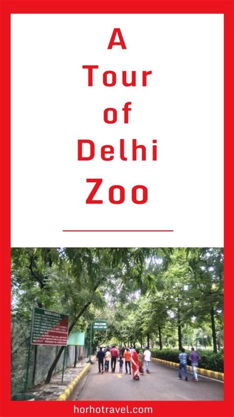 Delhi Zoo National Zoological Park Delhi Chidiya Ghar Ticket