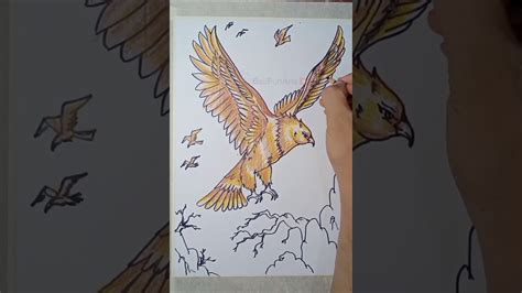 How To Draw Eagle Cara Menggambar Burung Elang Youtube