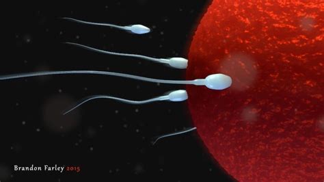 3d Sperm Meets Egg Cgtrader