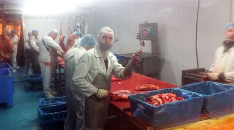 Inside Horse Meat Plant In Aberyswyth Farmbox Meats Was Closed By