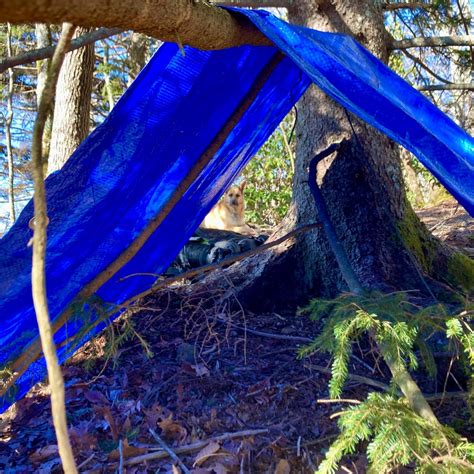 Fieldcraft Basics Of Wilderness Survival Shelter Building — The Tactical Hermit Vermont Folk