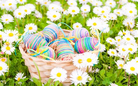 Easter Eggs Daisies White Flowers Spring Wallpaper Holidays